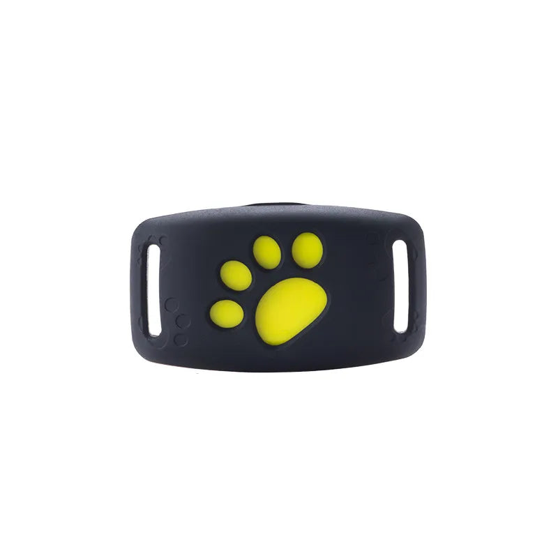Juno Glow Collar – Rechargeable LED Dog Collar for Night Safety & Visibility