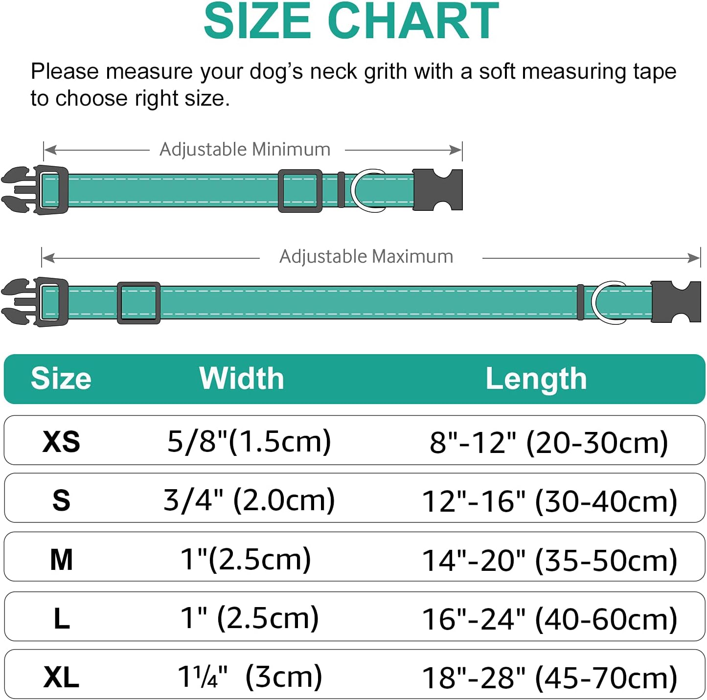 Harper Reflect Collar – Adjustable Reflective Dog Collar for Safety & Outdoor Walks