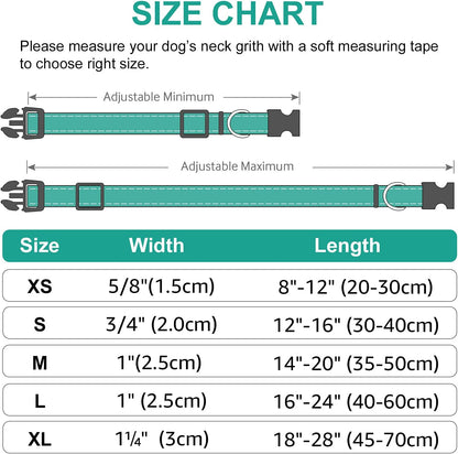 Harper Reflect Collar – Adjustable Reflective Dog Collar for Safety & Outdoor Walks