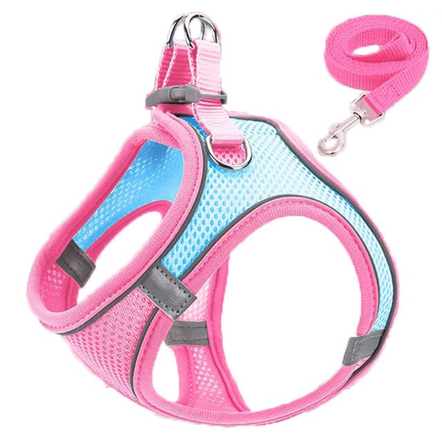 Reflective Adjustable Dog Harness and Leash Set – Breathable Mesh for Small Dogs and Cats, All-Weather Comfort 11