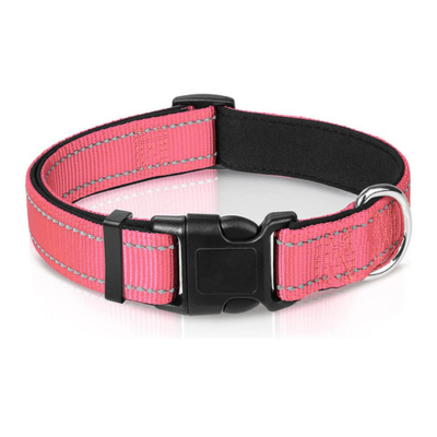 Harper Reflect Collar – Adjustable Reflective Dog Collar for Safety & Outdoor Walks