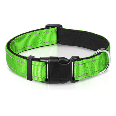 Harper Reflect Collar – Adjustable Reflective Dog Collar for Safety & Outdoor Walks