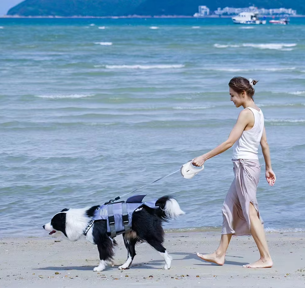 Automatic Leash with 360° Rotation for Dogs
