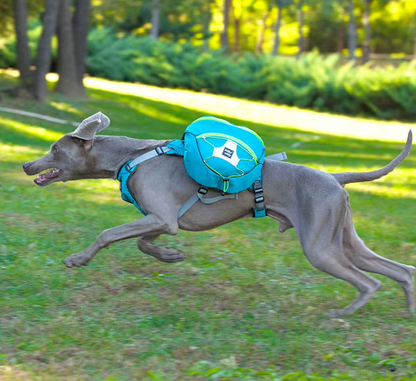 ScoutPack Carrier – Hands-Free Dog Backpack for Hiking & Outdoor Adventures