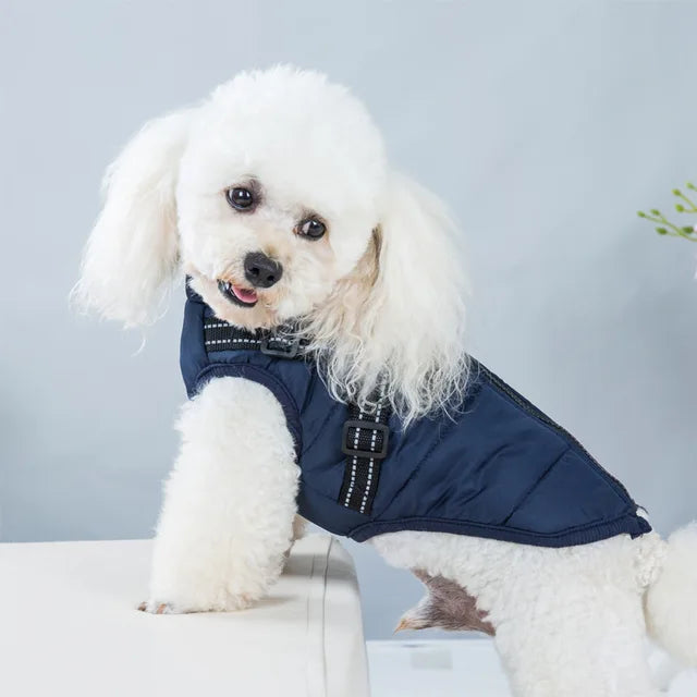 Freya Winter Coat – Insulated Dog Jacket with Harness Loop