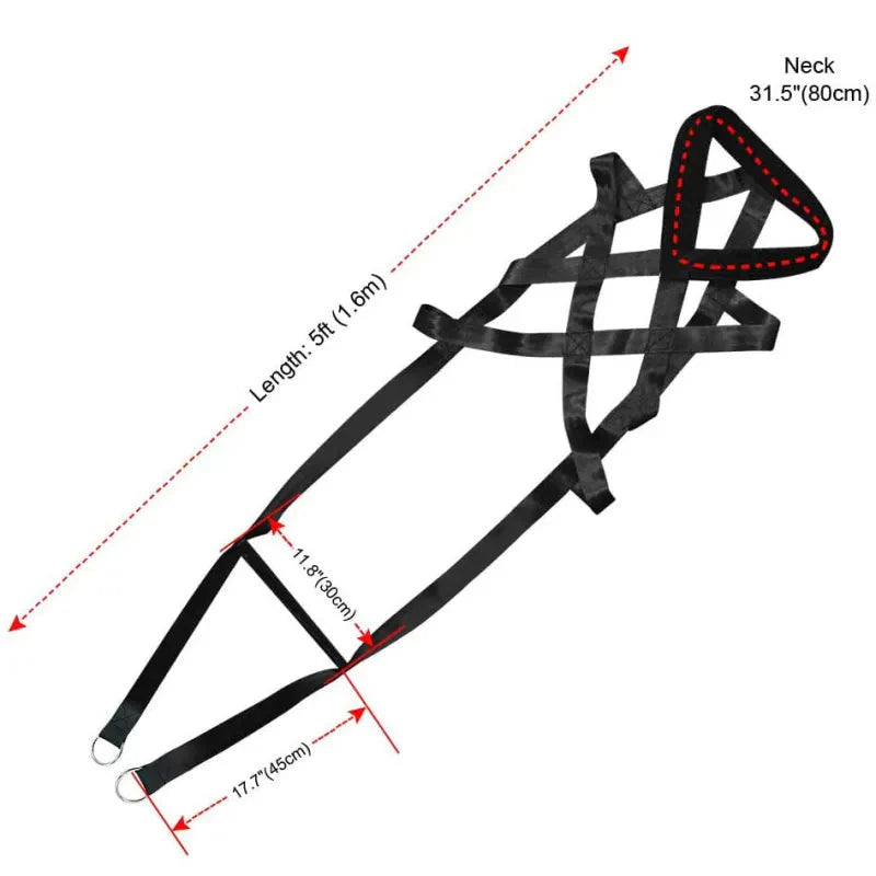 Nova Training Harness – Adjustable Dog Harness with Handle for Control