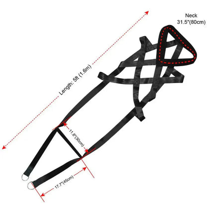 Nova Training Harness – Adjustable Dog Harness with Handle for Control