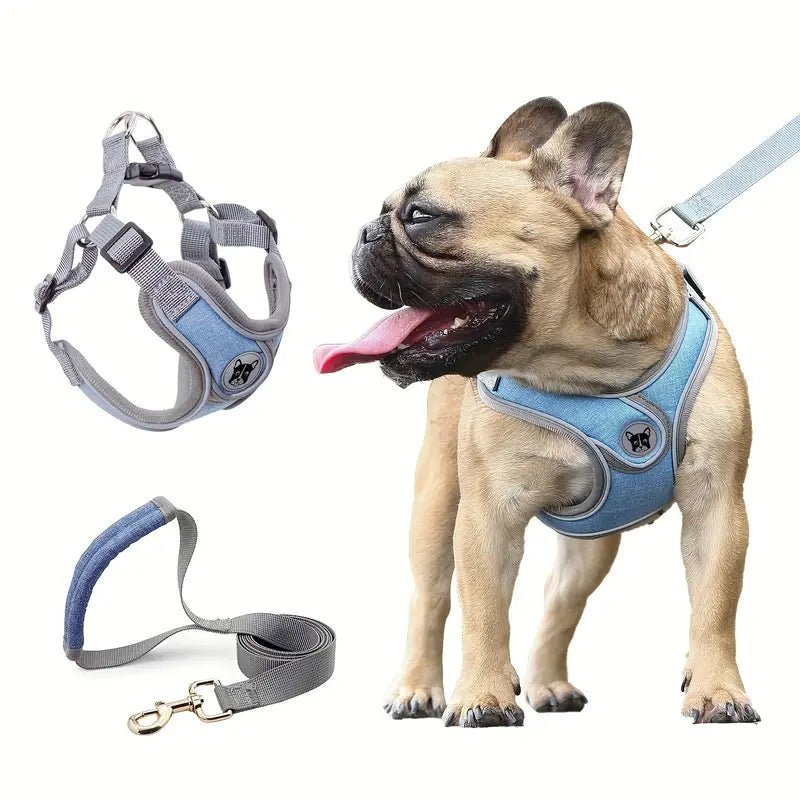 No Pull Dog Harness with Reflective Strip – Adjustable Fit for Small to Medium Dogs, Best for Puppy Training and Daily Walks 3