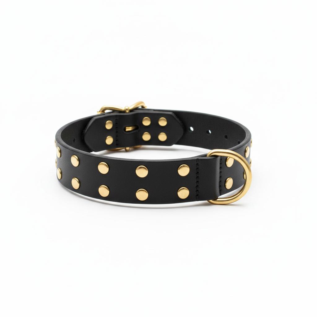 Dog Collar with Metal Details for Dogs