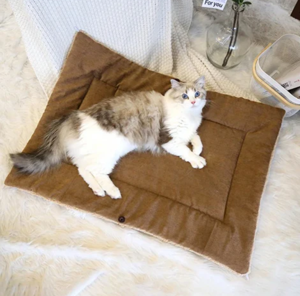 Cozy 2-in-1 Cat Bed and Blanket – Soft, Washable, All-Season Comfort for Cats 3