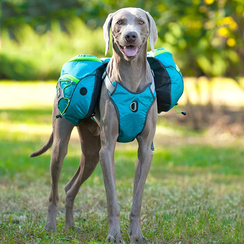 ScoutPack Carrier – Hands-Free Dog Backpack for Hiking & Outdoor Adventures
