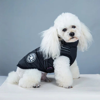 Freya Winter Coat – Insulated Dog Jacket with Harness Loop