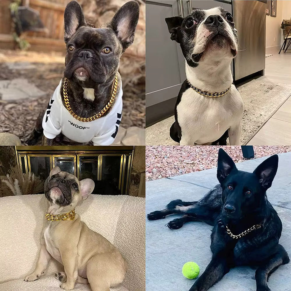 Stellar Gold Collar – Stylish Metal Dog Collar with Secure Clasp