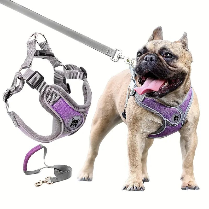 No Pull Dog Harness with Reflective Strip – Adjustable Fit for Small to Medium Dogs, Best for Puppy Training and Daily Walks 4