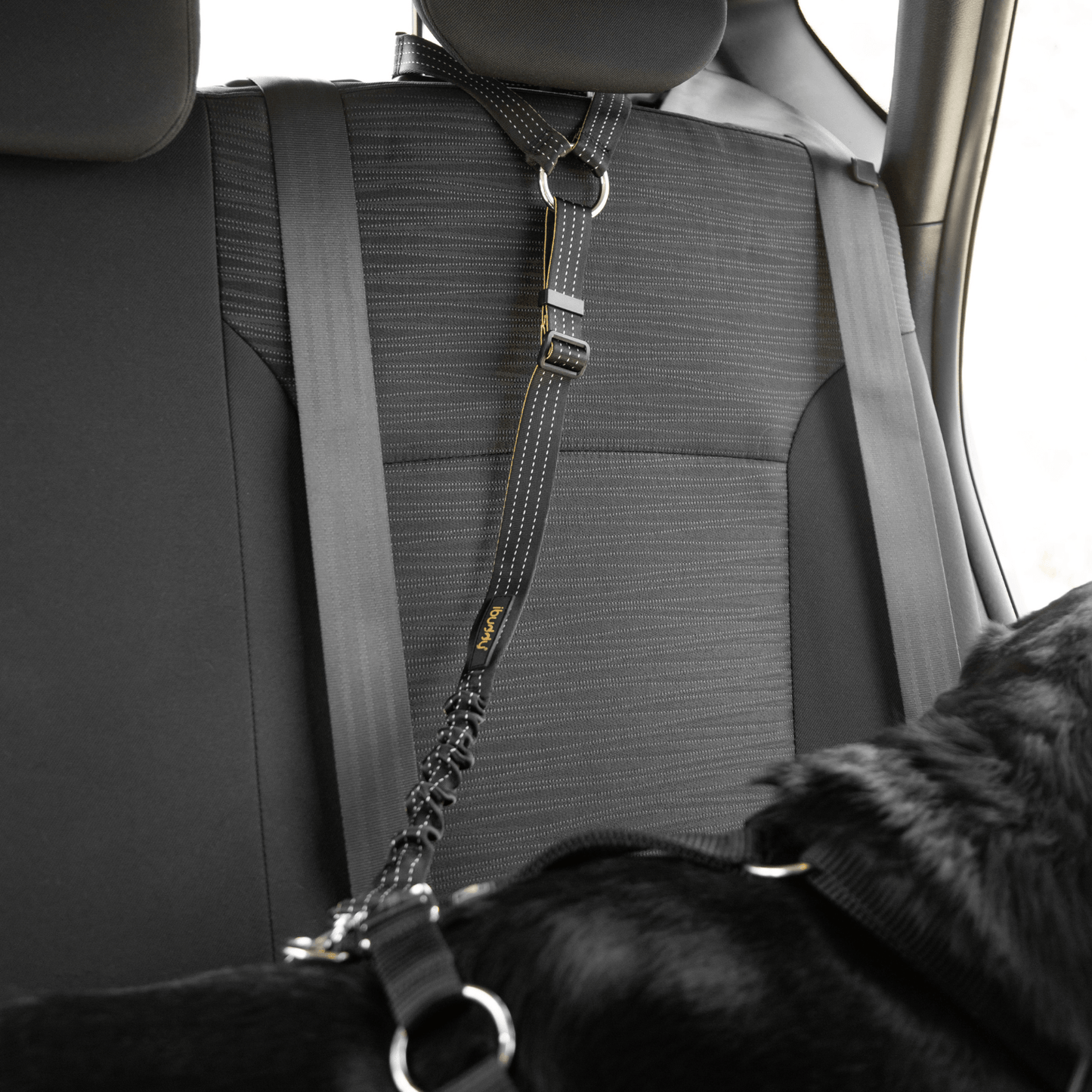 Adjustable Car Seat Belt for Dogs