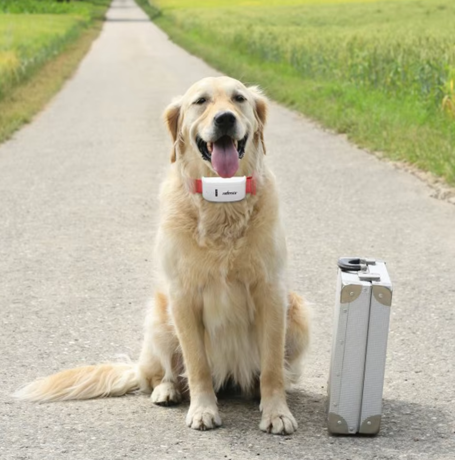 Skye TrainPro Collar – Remote-Control Dog Training Collar with Vibration