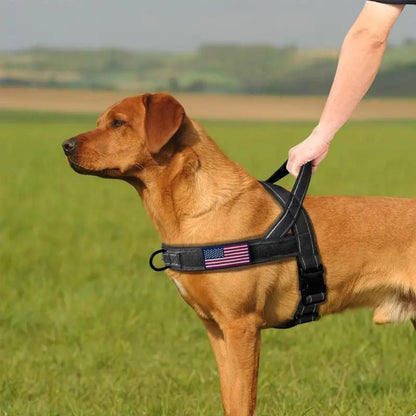 No Pull Dog Harness with Comfort Grip Handle and Reflective Strips - Adjustable Safety Harness for Small to Large Dogs 4