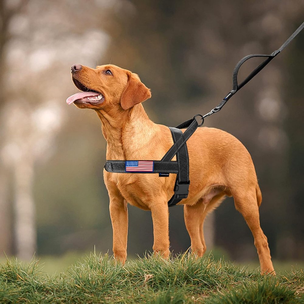No Pull Dog Harness with Comfort Grip Handle and Reflective Strips - Adjustable Safety Harness for Small to Large Dogs 2