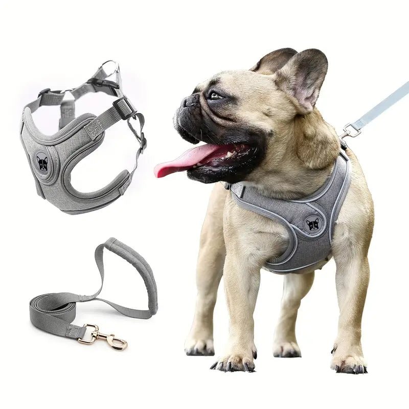 No Pull Dog Harness with Reflective Strip – Adjustable Fit for Small to Medium Dogs, Best for Puppy Training and Daily Walks 0