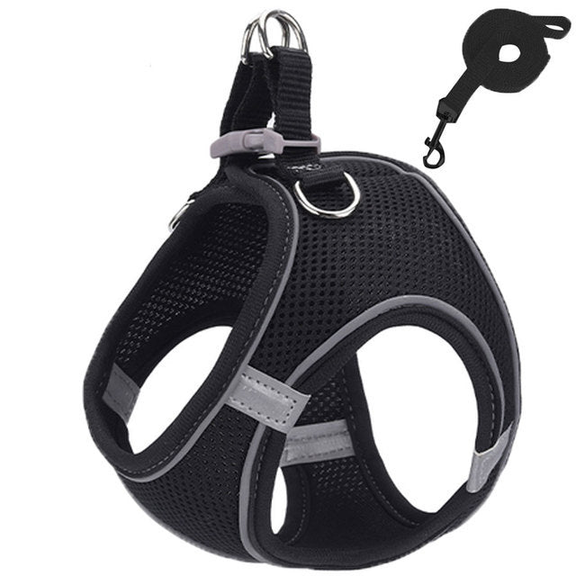 Reflective Adjustable Dog Harness and Leash Set – Breathable Mesh for Small Dogs and Cats, All-Weather Comfort 8
