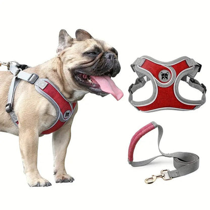 No Pull Dog Harness with Reflective Strip – Adjustable Fit for Small to Medium Dogs, Best for Puppy Training and Daily Walks 5