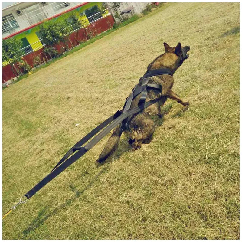 Nova Training Harness – Adjustable Dog Harness with Handle for Control