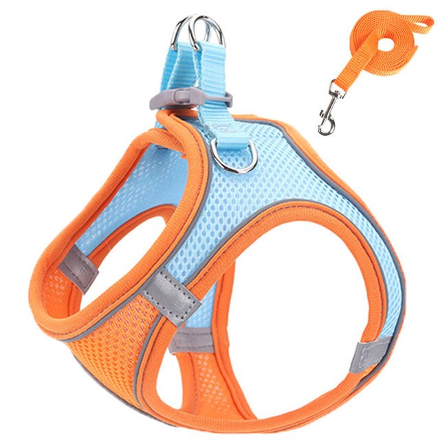 Reflective Adjustable Dog Harness and Leash Set – Breathable Mesh for Small Dogs and Cats, All-Weather Comfort 12