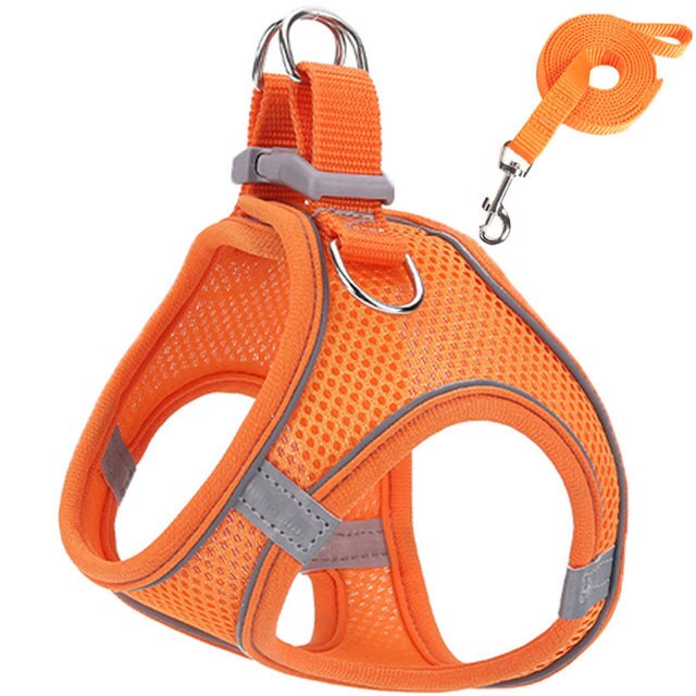Reflective Adjustable Dog Harness and Leash Set – Breathable Mesh for Small Dogs and Cats, All-Weather Comfort 7