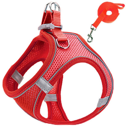 Reflective Adjustable Dog Harness and Leash Set – Breathable Mesh for Small Dogs and Cats, All-Weather Comfort 10