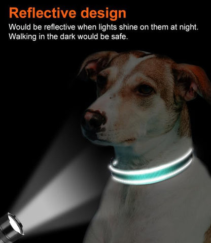 Harper Reflect Collar – Adjustable Reflective Dog Collar for Safety & Outdoor Walks