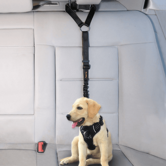 Adjustable Car Seat Belt for Dogs