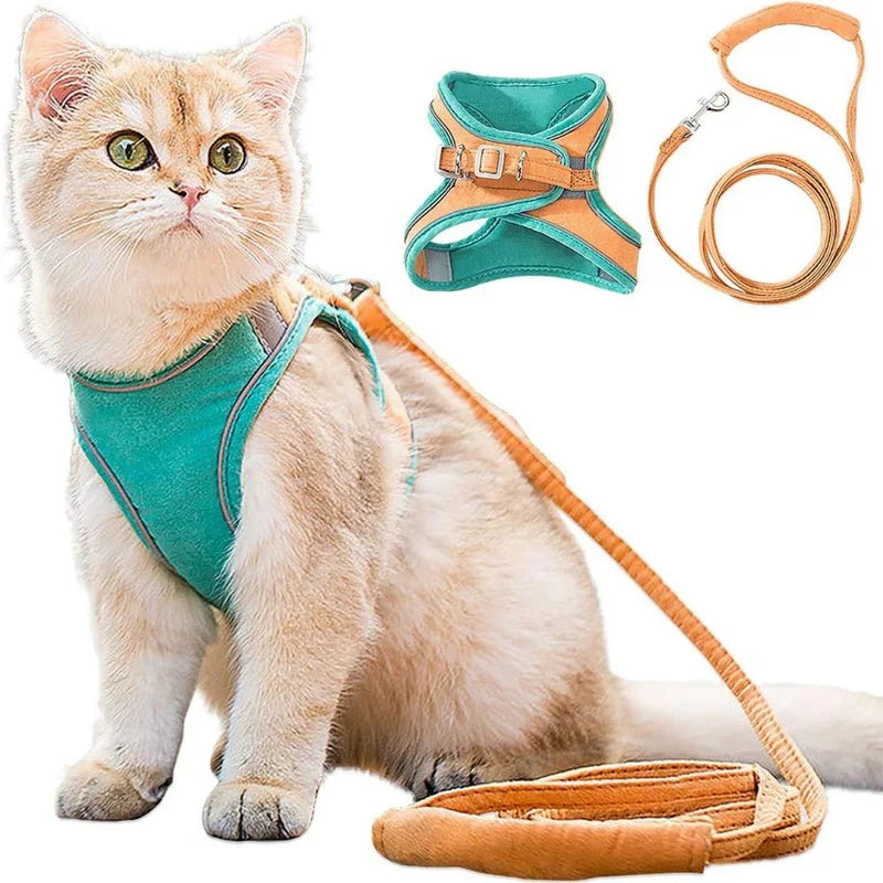 Harness with Reflective Trim for Cats