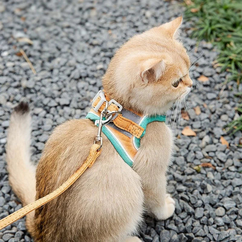 Harness with Reflective Trim for Cats