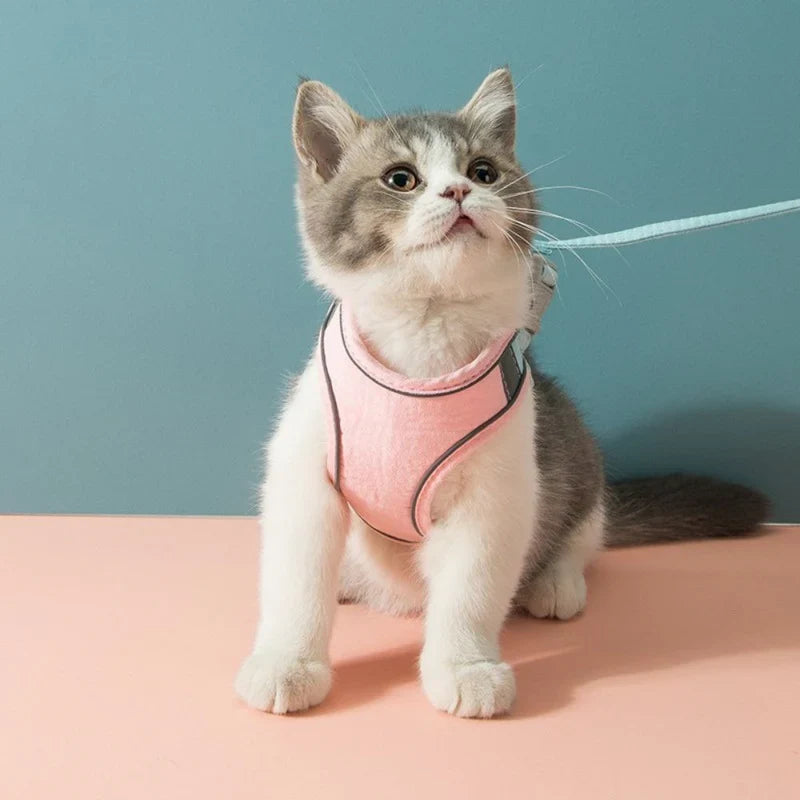 Harness with Reflective Trim for Cats