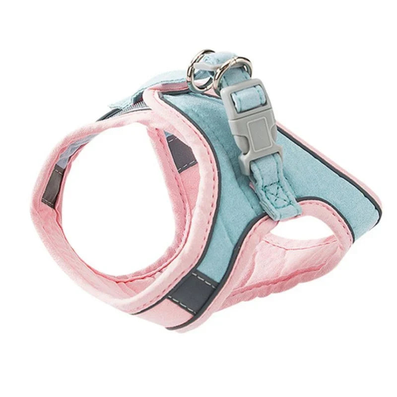 Harness with Reflective Trim for Cats
