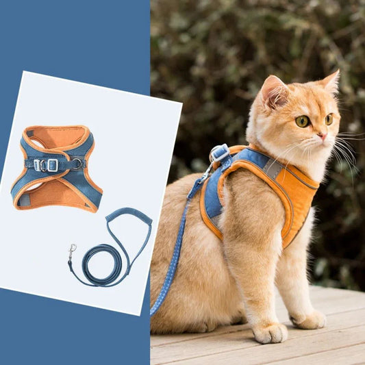 Harness with Reflective Trim for Cats
