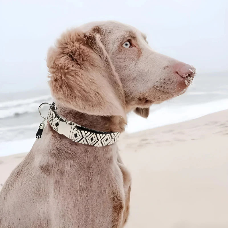 Collar with a Zigzag Pattern for Dogs