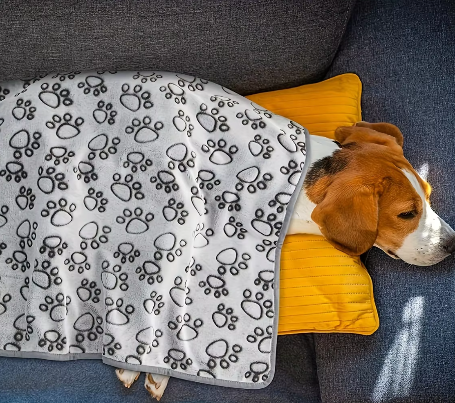 Bailey Blanket – Cozy Protection for Dogs