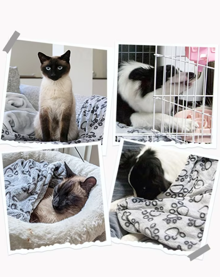 Bailey Blanket – Cozy Protection for Dogs