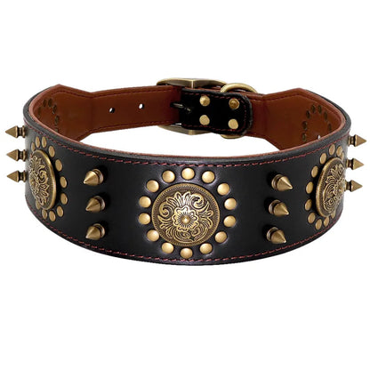 Dog Collar with Metal Details for Dogs