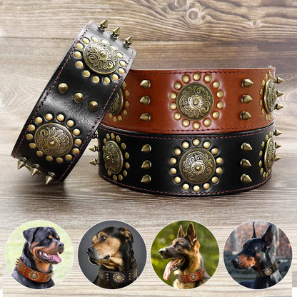 Dog Collar with Metal Details for Dogs