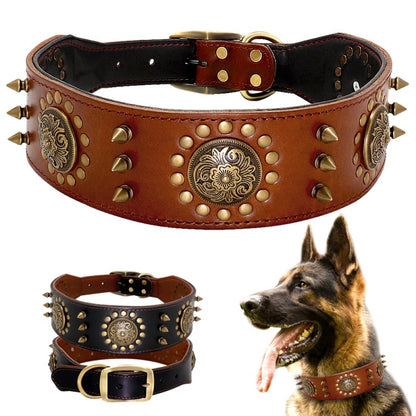 Dog Collar with Metal Details for Dogs