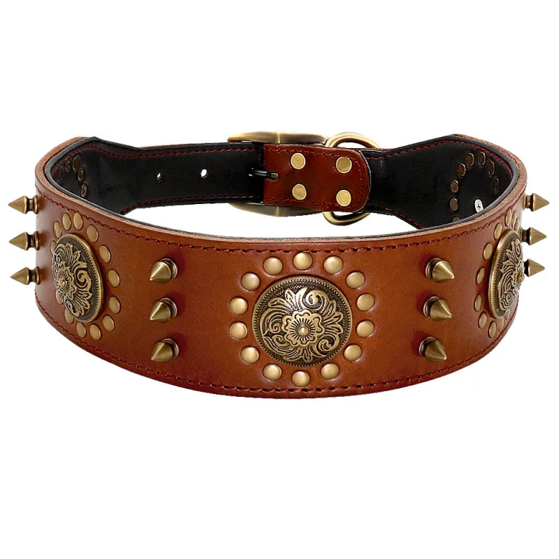 Dog Collar with Metal Details for Dogs