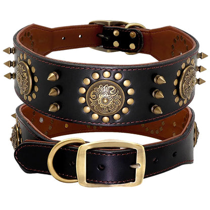 Dog Collar with Metal Details for Dogs