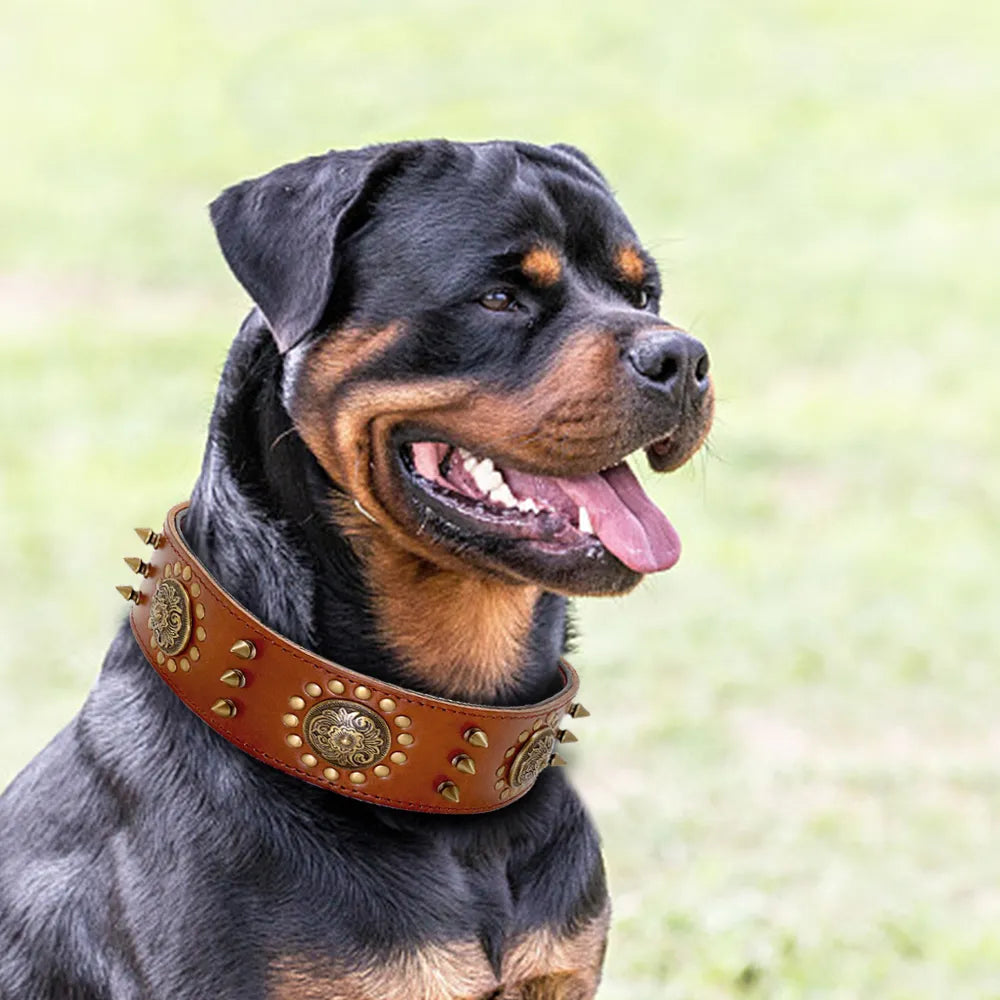 Dog Collar with Metal Details for Dogs