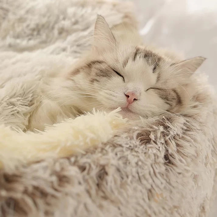 Furry Bed for Cats