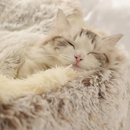 Furry Bed for Cats