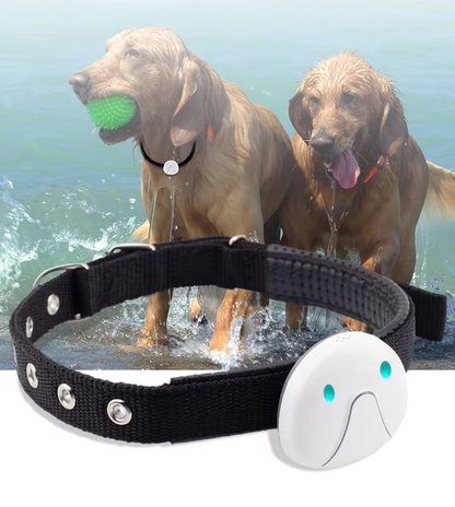 Aria GPS Dog Collar – Adjustable Tracking Collar with Smartphone Connectivity