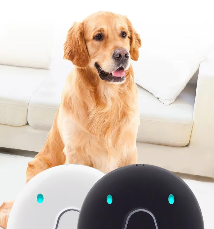 Aria GPS Dog Collar – Adjustable Tracking Collar with Smartphone Connectivity