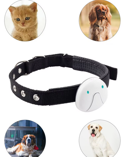 Aria GPS Dog Collar – Adjustable Tracking Collar with Smartphone Connectivity